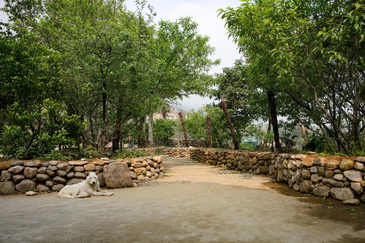 Tavan Riverside Ecolodge Шапа Экстерьер фото